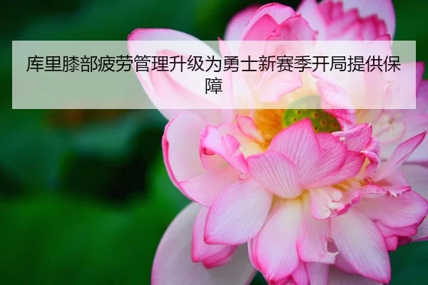 库里膝部疲劳管理升级为勇士新赛季开局提供保障